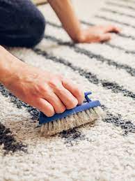professional rug steam cleaning company