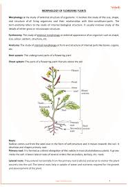 Cbse Class 11 Biology Chapter 5 Morphology Of Flowering