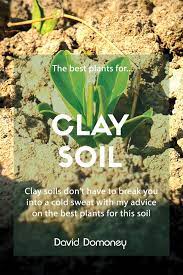 May 19, 2021 · to test whether the soil in an area drains well, dig a hole and fill it with water. Gardening The Best Plants For Clay Soil Grow In Full Sun And Partial Shade David Domoney