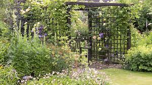 trellis ideas 17 beautiful ways to add