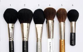 face brushes
