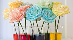 Maybe you would like to learn more about one of these? How To Tie Dye Cut Flowers In 3 Easy Steps Bloomthis