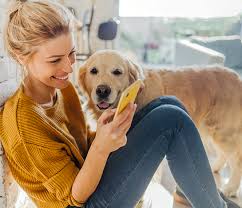 Learn how to take care of pets, read about common pet behavior. Travelling With Your Pets Trenitalia