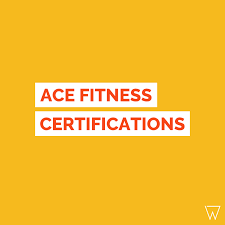 ace certification guide pros cons
