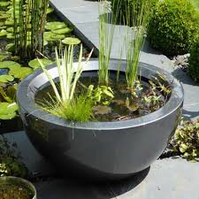 Container Pond Ideas And Planting