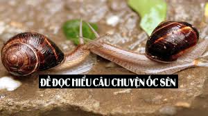 Đọc hiểu Câu chuyện ốc sên