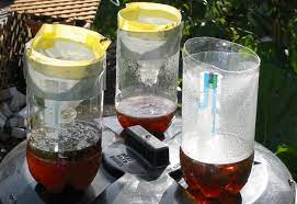 diy 5 all natural insect traps and