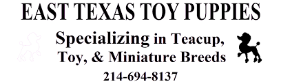 home page east texas toy puppies