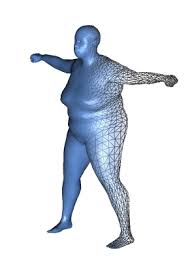 Body Mass Index Visualizer