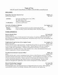 Resume Examples Activities Resume Templates Design For Job
