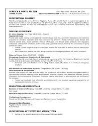 CV Example for Dental Nurse Job Applications   lettercv com Cover Letter and CV Examples