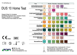 10x urine test strips 10 parameter