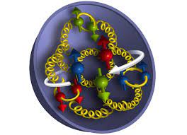 What Rules The Proton: Quarks Or Gluons?