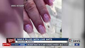 salon putting live ants into nails