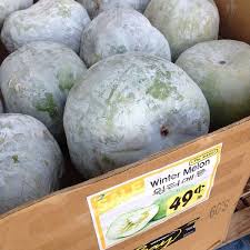 Winter melon usually was in large size and we might have it on dining table for several days. Winter Melon Growing Guide Backgarden Org