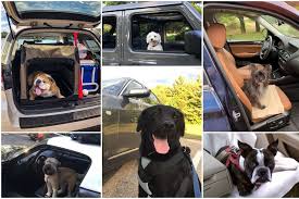 12 Best Cars For Dogs U S News