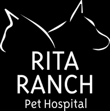 rita ranch pet hospital