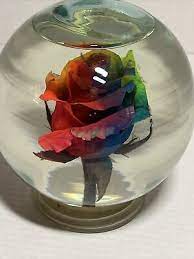 Rainbow Rose Globe In Water