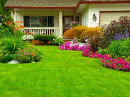 Since 1948, ben berg farm & industrial equipment limited has been serving the equipment needs of customers ranging from farmers, landscapers, municipalities, and golf courses to estates and homeowners from all over the niagara region and beyond. Team Green Niagara Eco Friendly Niagara Lawn Care