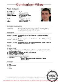 Resume In English