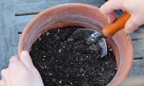 9 Ways To Rejuvenate Old Potting Soil