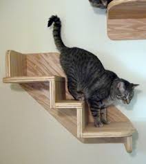 I was very excited when i came across these new wall perches because they are from a company that i already know and love, although they had never made pet products before. Wall Mounted Cat Stairs Shop Moderncat Com