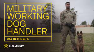 army military working dog handler mos