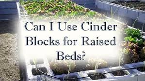 raised bed out of cinder blocks