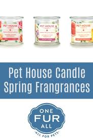Specialty pet products orange lemon splash. 97 Best Most Popular Pet House Candle Pins Ideas Odor Eliminating Candles Pet Hacks Candle Pins