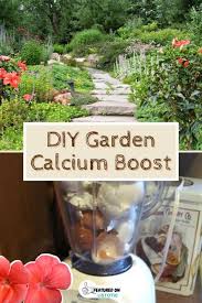 Clever Gardening Tips And Ideas