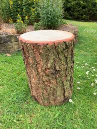 Rustic Wooden Log Stool With Bark