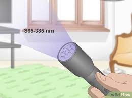 how to find cat urine with a uv light