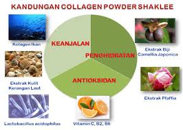Image result for collagen powder shaklee