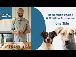 homemade dog food recipe itchy skin