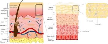 nanotechnology in skincare