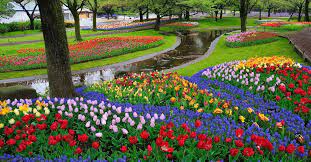 Bisa dijadikan background foto rumah. Foto Pemandangan Taman Bunga Yang Indah 5 Taman Bunga Di Belanda Yang Paling Indah Dan Mempesona Enaknya 16 Taman Bunga Taman Bunga Bunga Tulip Kebun Bunga