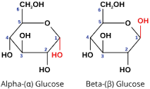 Alpha(α) and Beta(β) Glucose: Comparison, Structures, Explanation ...