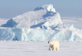 Как ведет себя Арктика в эпоху быстрых изменений - Статьи и репортажи РГО