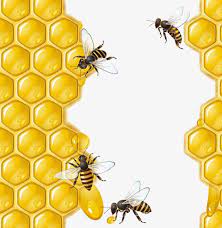 honey honey clipart bee png