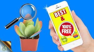 free plant identification app