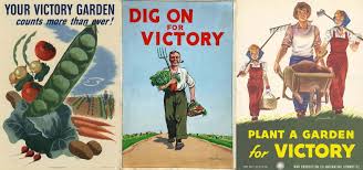 victory garden posters island life nc