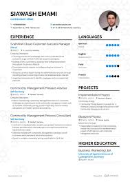 500 Free Professional Resume Examples And Samples For 2019