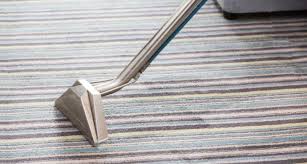 professional carpet cleaning in south