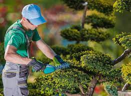 How Much Does A Gardener Cost In 2023