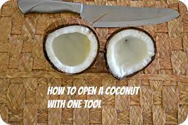 Want to know how to open a coconut!!!! How To Crack Open A Coconut With One Tool