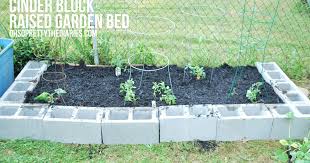 The Diy Cinder Block Raised Garden Bed