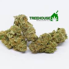 Cannabis strains are either pure or hybrid varieties of the plant genus cannabis, which encompasses the species c. Buy Blue Cookies Exotic Treehouse Organics Online Greenrush Delivery