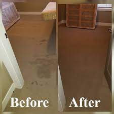 carpet cleaning nanaimo best steam
