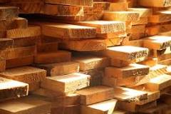 When should I use pressure treated wood?