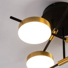 Large Design Ceiling Light With 6